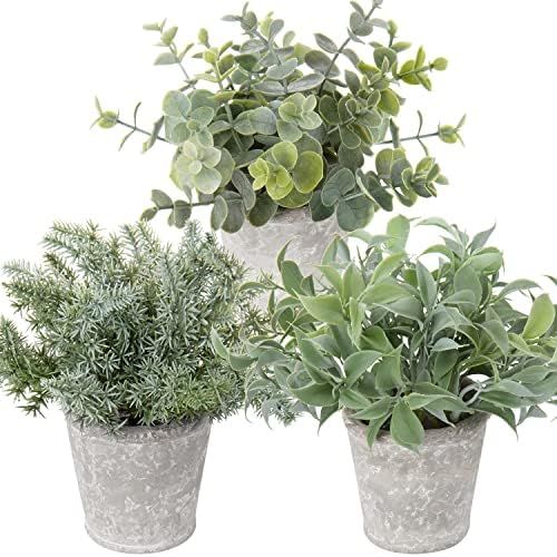 Artificial Potted Plants Set of 3 Faux Plants in Pots Eucalyptus Rosemary Fern Small Fake Plant D... | Amazon (US)