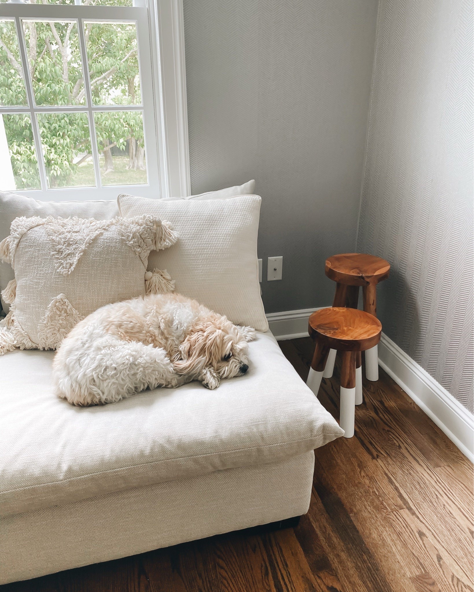 Serena + Lily dip dyed stools on sale & ship for free! 

home decor 

#LTKHome #LTKSaleAlert #LTKFindsUnder100