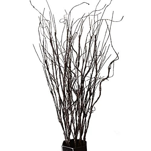 FeiLix 10PCS Lifelike Curly Willow Branches Decorative Dried Artificial Twigs, 30.7 Inches Fake B... | Walmart (US)