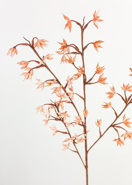 Pink Blush Fake Mini Eucalyptus Seed Pod Branch - 24" | Afloral (US)