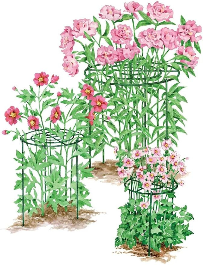 Gardener's Supply Company Grow Through Plant Support | Sturdy Metal Plants Support Frame for Peon... | Amazon (US)