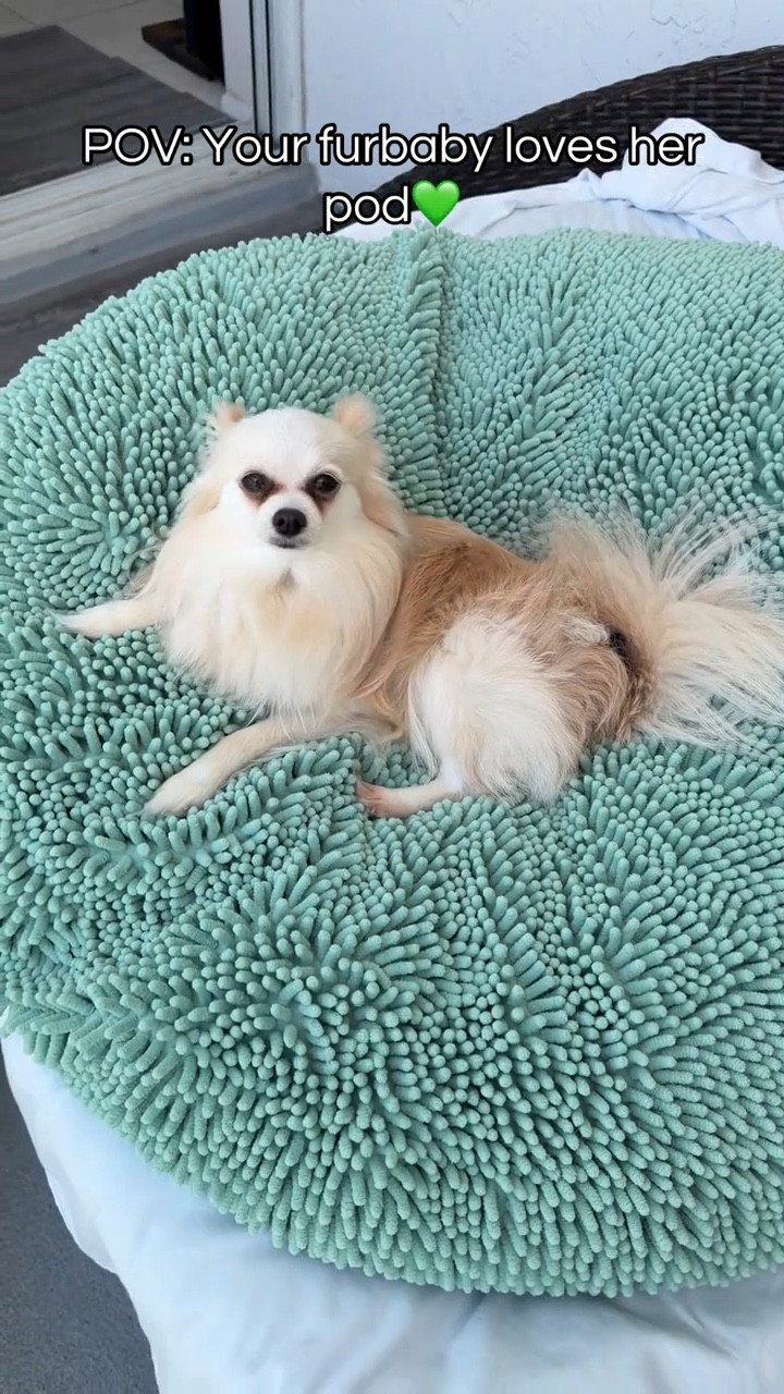 When ur furbaby loves her comfy chenille pod in Seafoam green as much as you do. 💚🐾 #muddymat #LTKPets

#LTKHome #LTKgrwm #LTKdayinmylife
