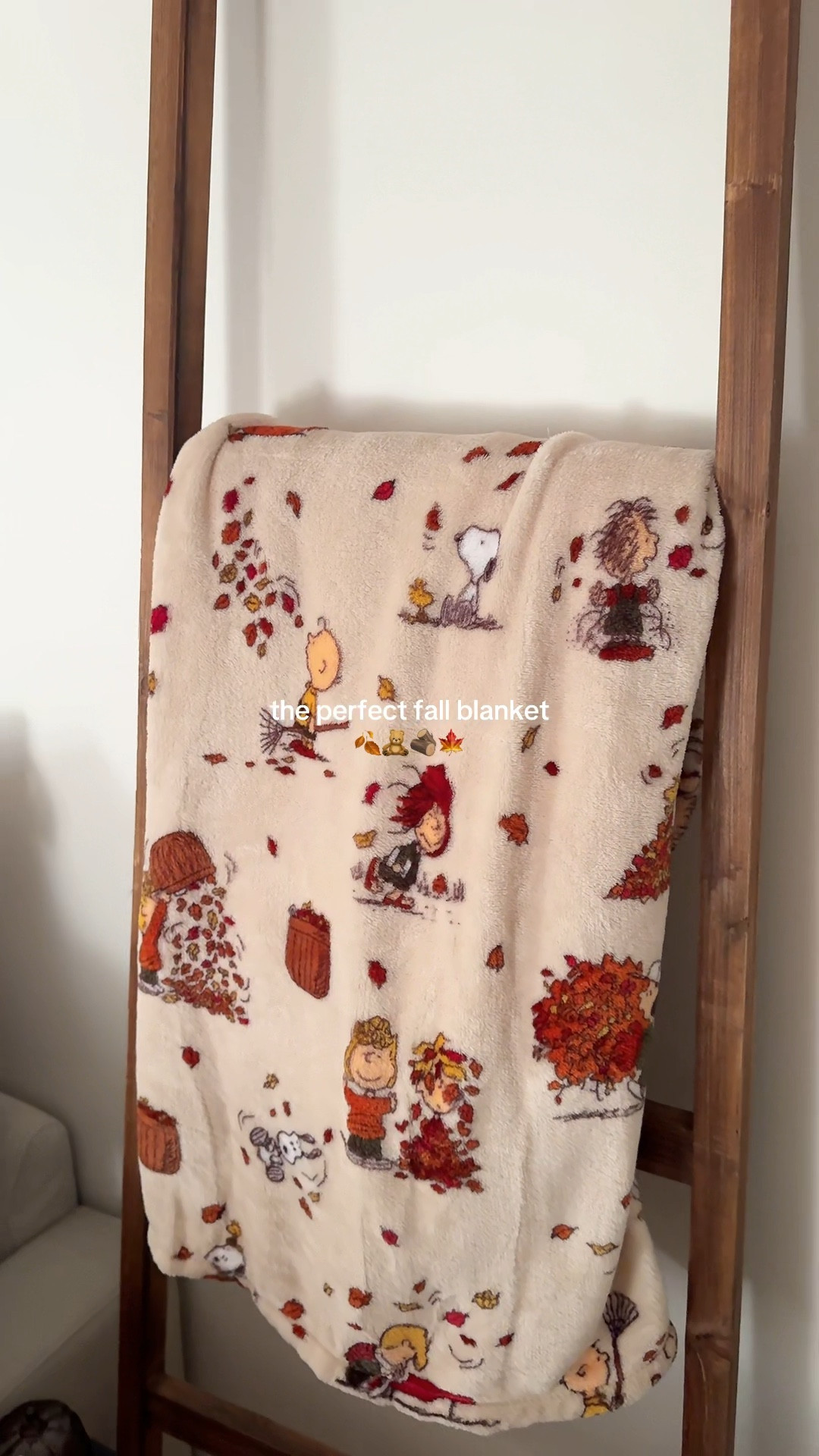 The perfect fall throw blanket 🧸🍂🪵
#fallblanket #cozy #thrownlanket #fallaesthetic #snoopyfall #homedecor #fallhome #neautralaesthetic 

#LTKStyleTip #LTKSeasonal #LTKHome