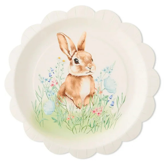 Multicolor Field Bunny Disposable Paper Plates, 11.5", 8 Count, Easter by Way To Celebrate | Walmart (US)