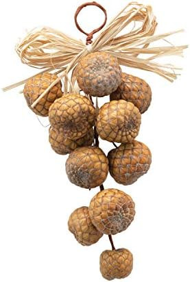 Creative Co-Op 4" L x 4" W x 9" H Dried Pod Cluster Ornaments, Multi | Amazon (US)