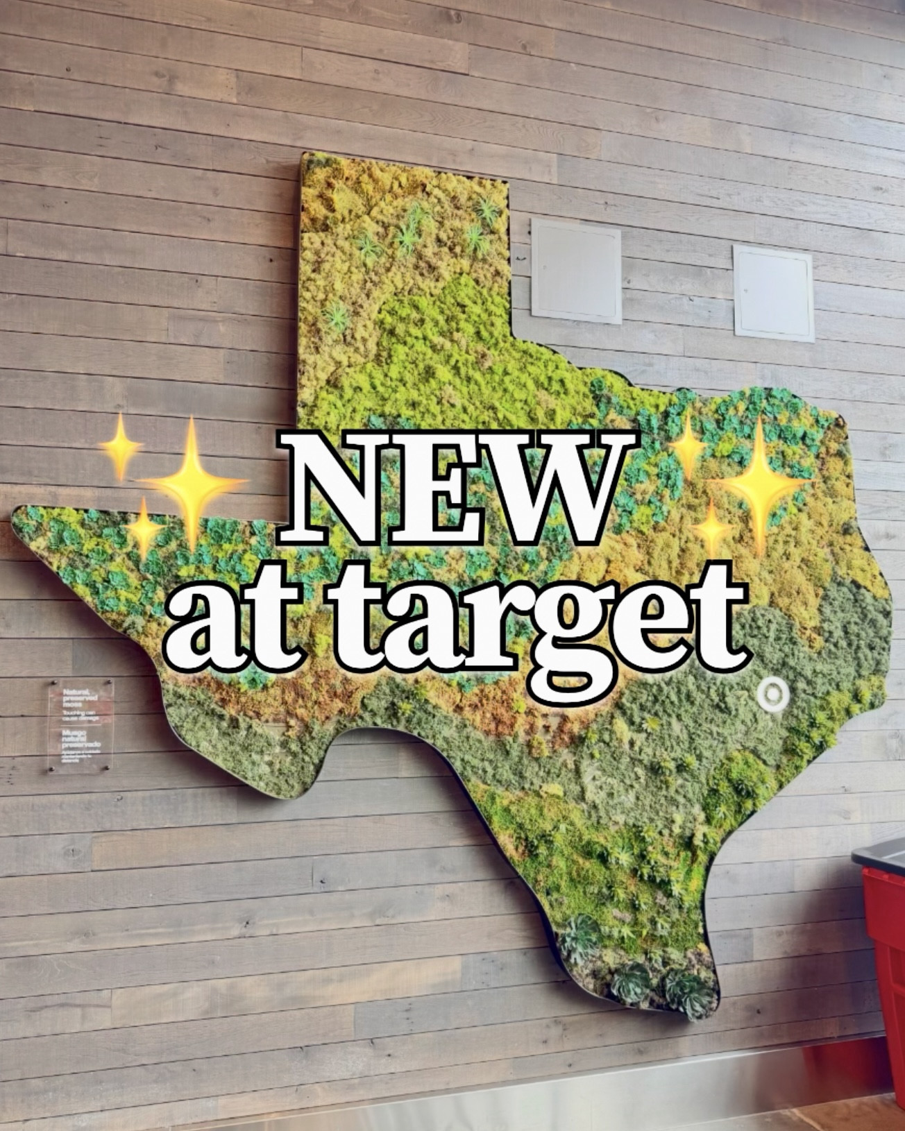 Target ✨ latest finds 

#LTKHome #LTKSeasonal #LTKU