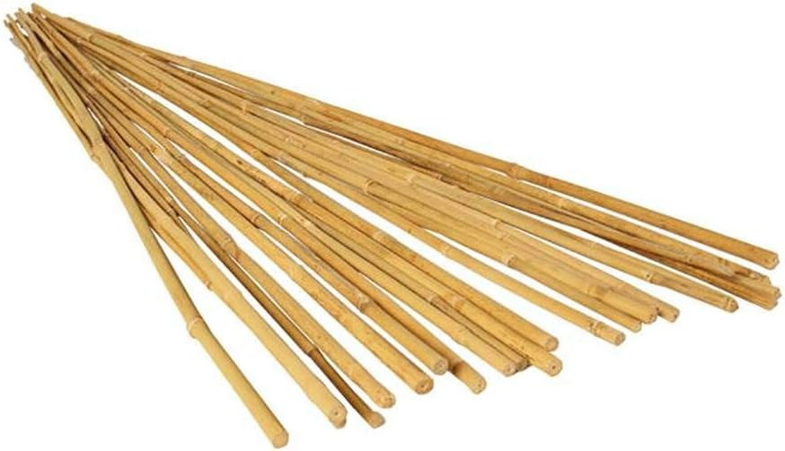 Hydrofarm HGBB4 4' Natural, pack of 25 Bamboo Stake, Tan | Amazon (US)