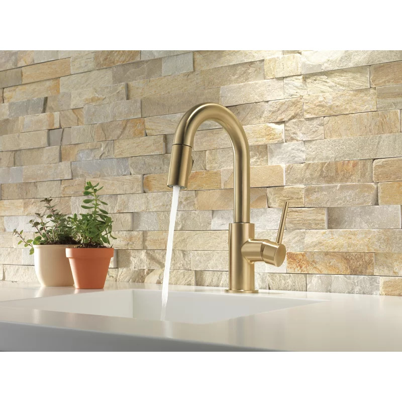 Trinsic Pull Down Sprayer Bar Faucet, Single Handle Prep Sink Faucet | Wayfair North America