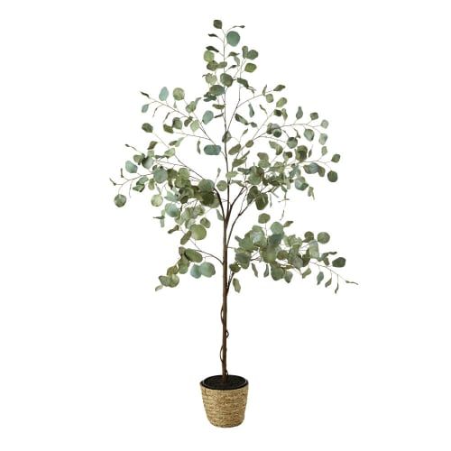 Eucalyptus artificiel et pot tressé H176 | Maisons du Monde FR