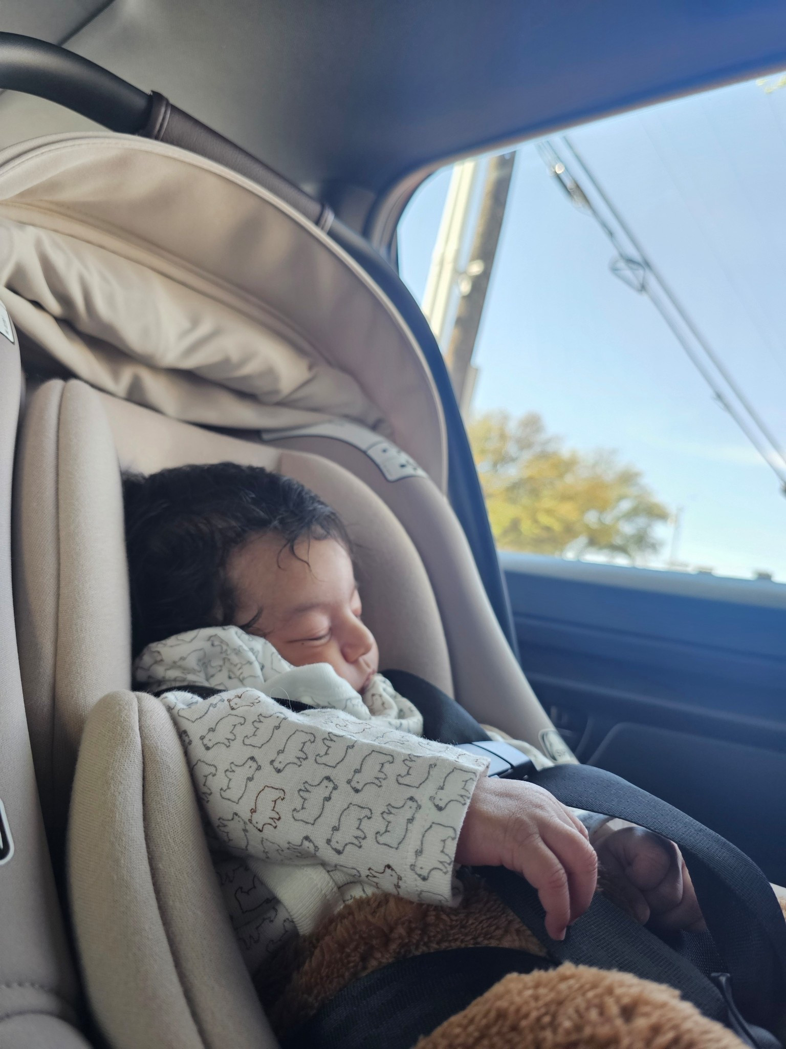 Our fav car seat! We have the Biscotti color 

#baby #newborn #momlife #carseat #nuna

#LTKBaby #LTKmomlife #LTKKids