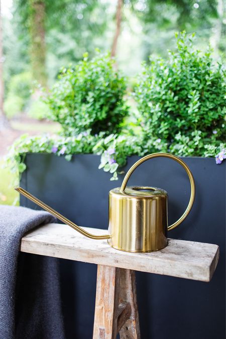 The most aesthetically pleasing gold watering can for summer! 

#LTKhome #LTKSeasonal #LTKfindsunder50