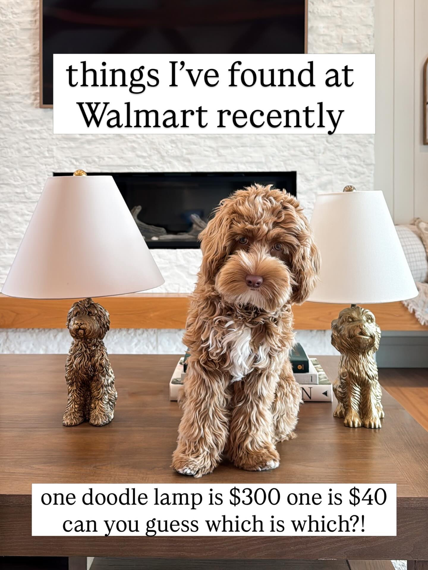 Recent Walmart finds!

#LTKHome #LTKSeasonal