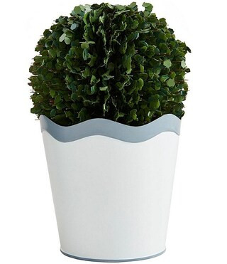 Garden Collection Scalloped Boxwood Topiary Pot | Dillard's