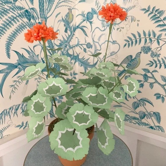 Large Paper Geranium With Two Flowers and Three Stems Select | Etsy | Etsy (US)