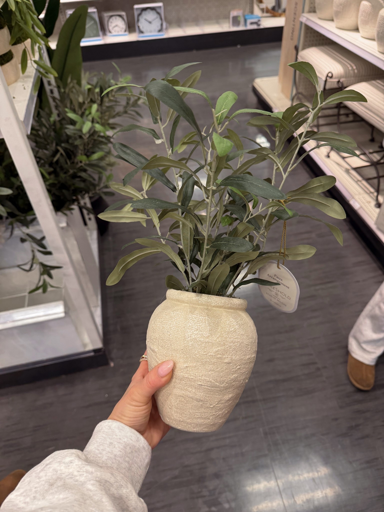 Faux olive plant from Target 🪴

#LTKHome #LTKSeasonal #LTKdayinmylife