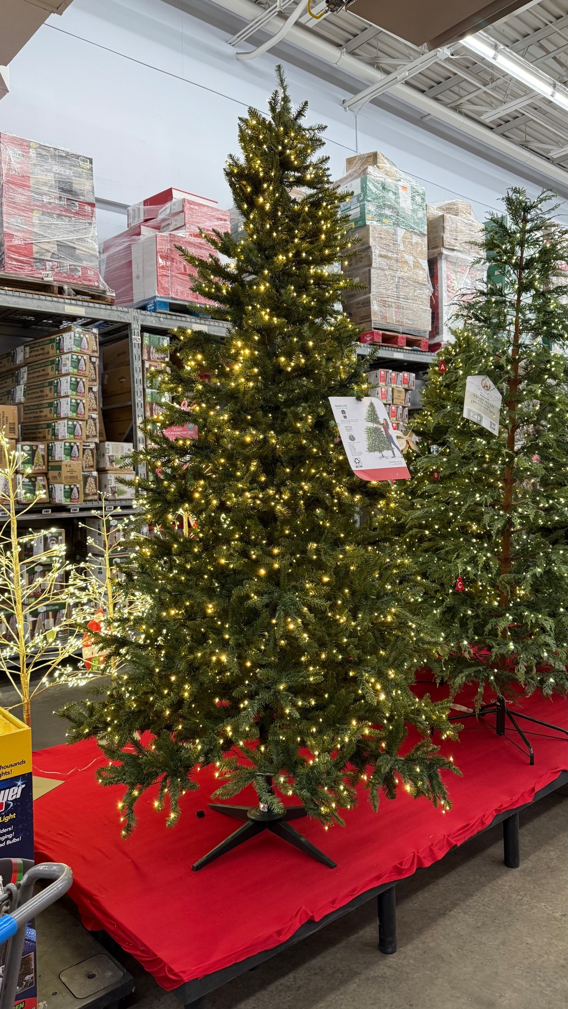 Couldn’t believe how real & beautiful this tree was for the price! It’s the tree I’m getting! 