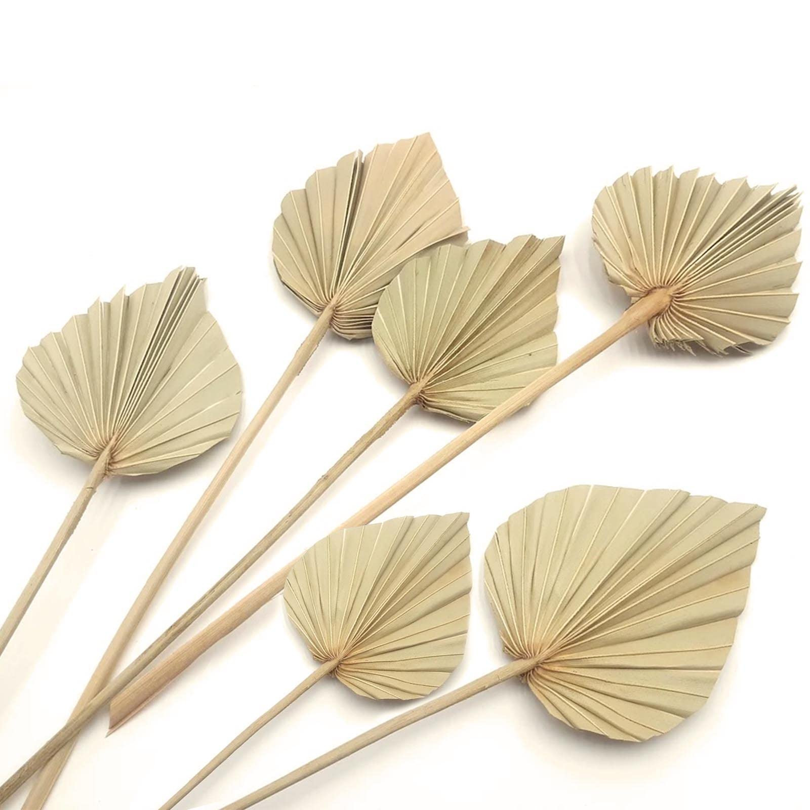 Boho Dried Palm Leaves, Small Dried Palms Plant Spears Fans, Palm Leaf with Stem for Home Office ... | Amazon (US)