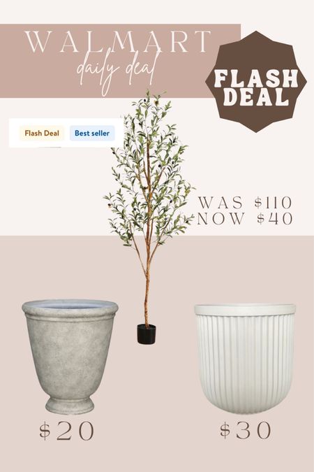 Walmart olive tree on major deal! Can’t believe how low they have this marked! Plus pair it with one of the viral affordable Walmart planters. I have the white planter and love it! 

#LTKhome #LTKsalealert #LTKSeasonal