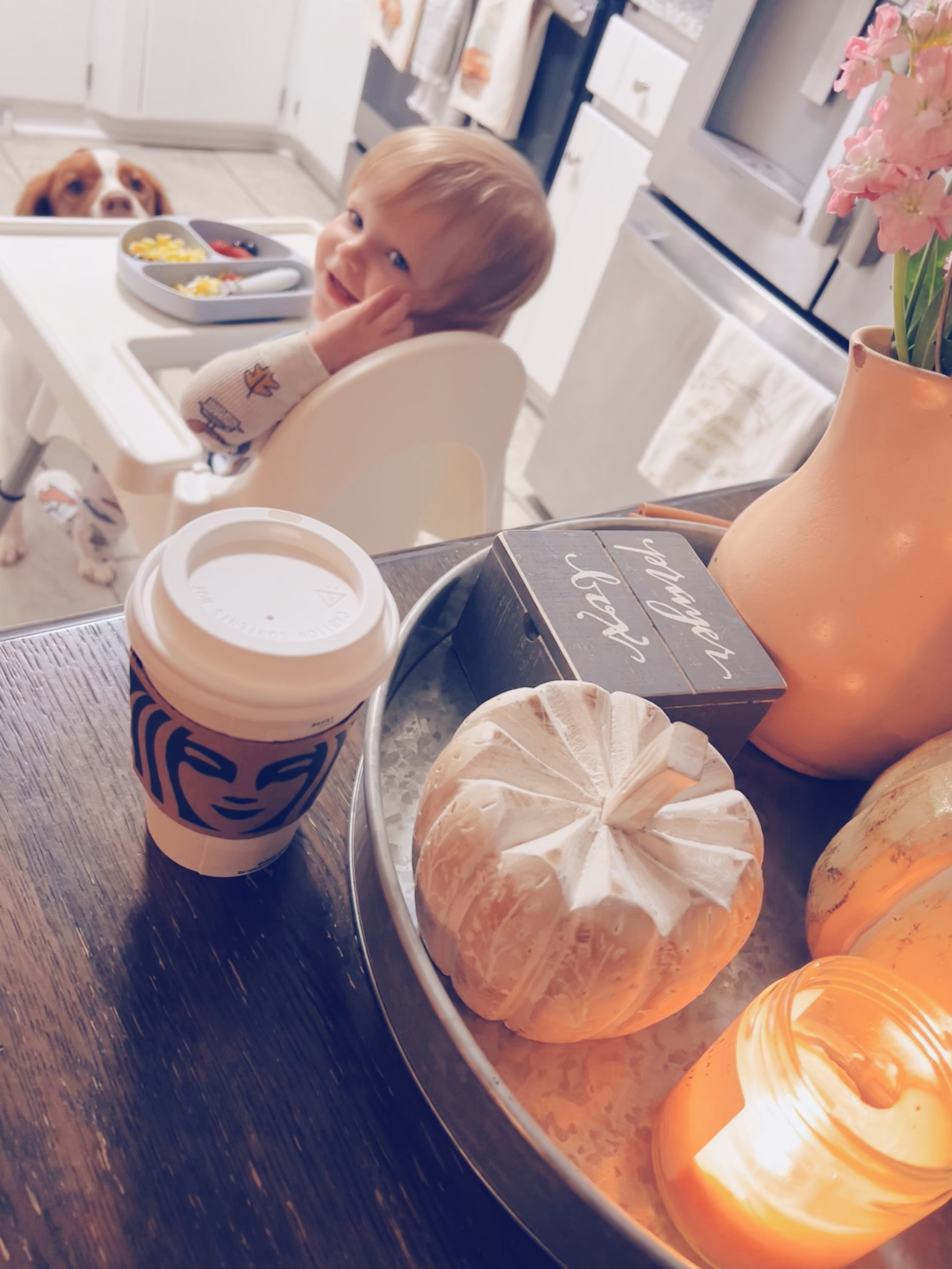 41 degrees outside 🍂, 6 AM pure barre class 🤸‍♀️, pumpkin spice latte ☕️🎃, & these cuties make for a happy tuesday indeed!! 🤗

#LTKSeasonal #LTKbaby #LTKfamily