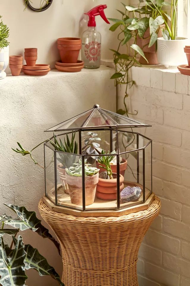 Tabletop Greenhouse | Urban Outfitters (US and RoW)