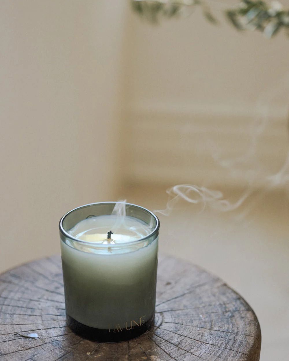 n˚05 evergreen candle

                      -

                      $48 | Cupcakes and Cashmere
