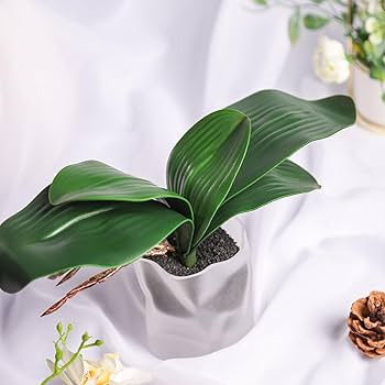 Miracliy 3PCS Artificial Orchid Leaves Real Touch Faux Orchid Leaves for Phalaenopsis Orchid Arra... | Amazon (US)