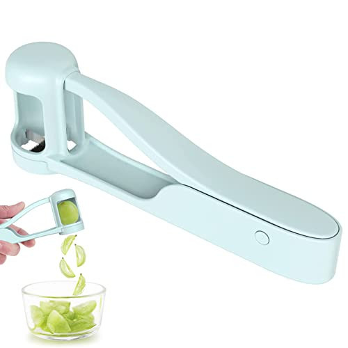 WhiteRhino Grape Cutter Grape Slicer for Toddlers Baby,Grape Cherry Tomato Strawberry Cutter Quarter Slicer tool For Vegetable Fruit Salad Cake Decoration,Stainless Steel kitchen Gadget Fruit cutter | Amazon (US)