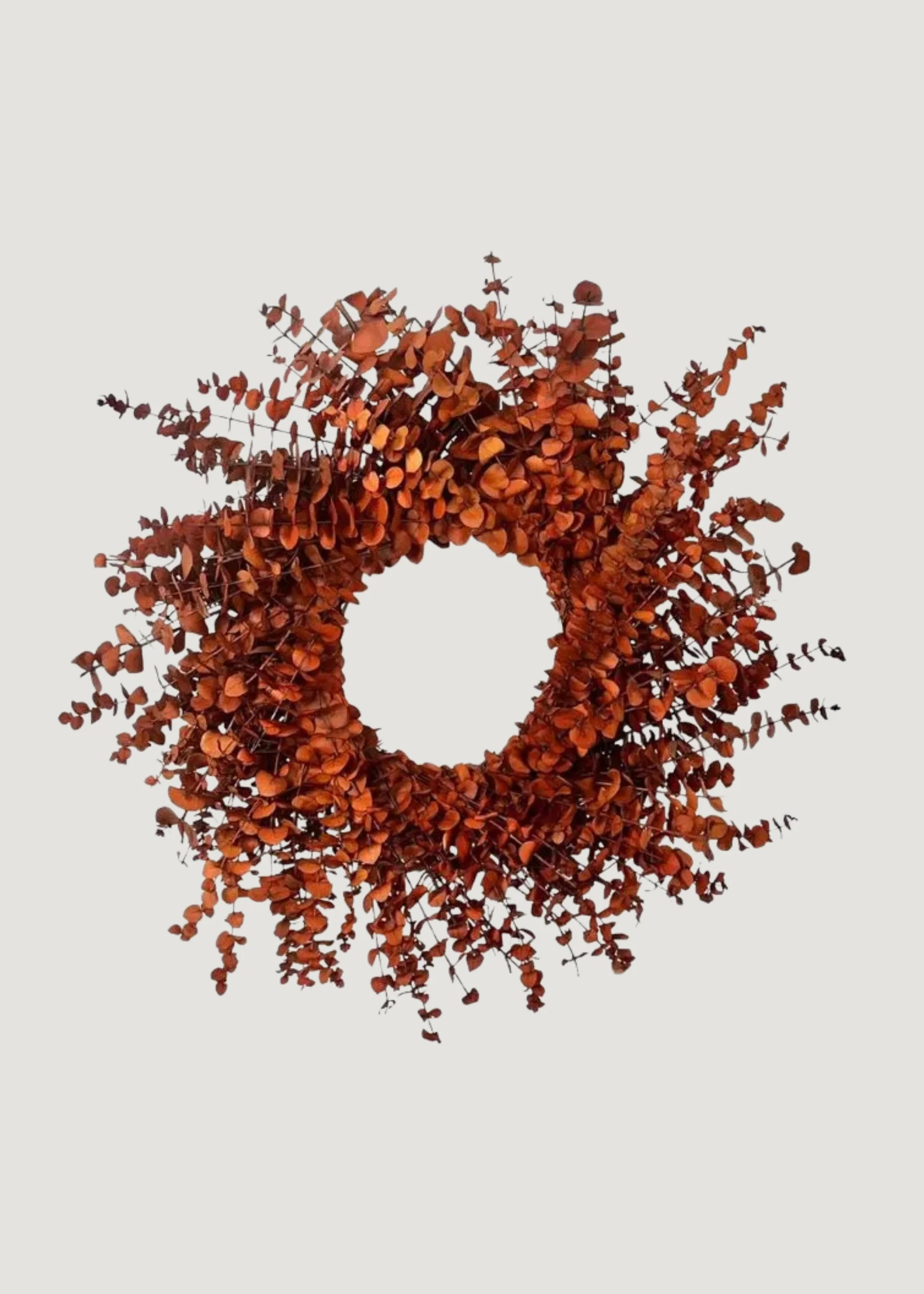 Preserved Eucalyptus Wreath in Fall Orange Hue - 22" | Afloral