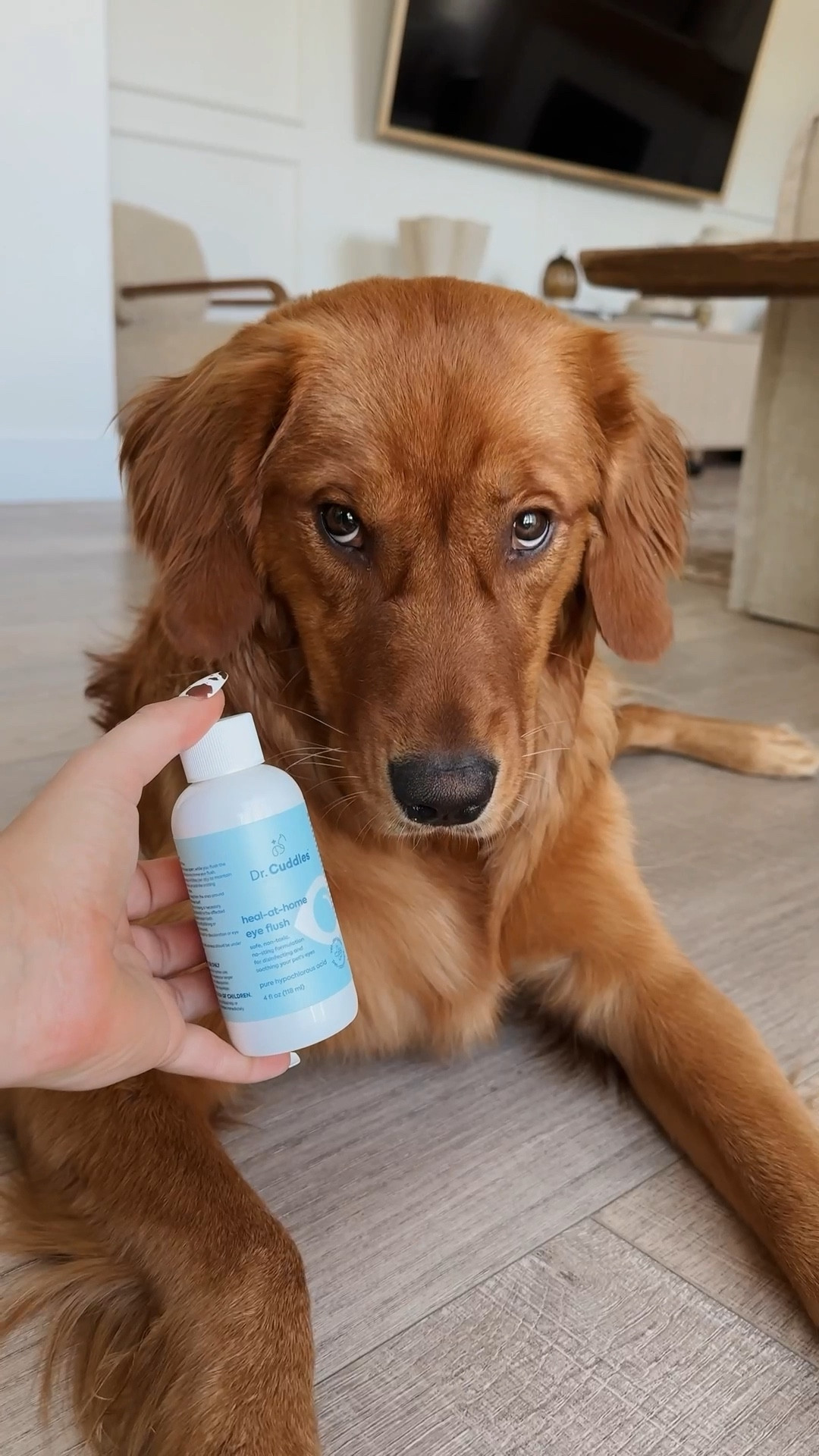 Sammie’s going on her first vacation to Big Bear today, so we’re packing her Heal-at-home first aid kit from @drcuddles. It includes ear care, wound gel, and an eye flush and 2 microfiber towels, and I feel so much more prepared! I’ll link everything for you here!

#drcuddles #drcuddlespartner

#LTKFamily