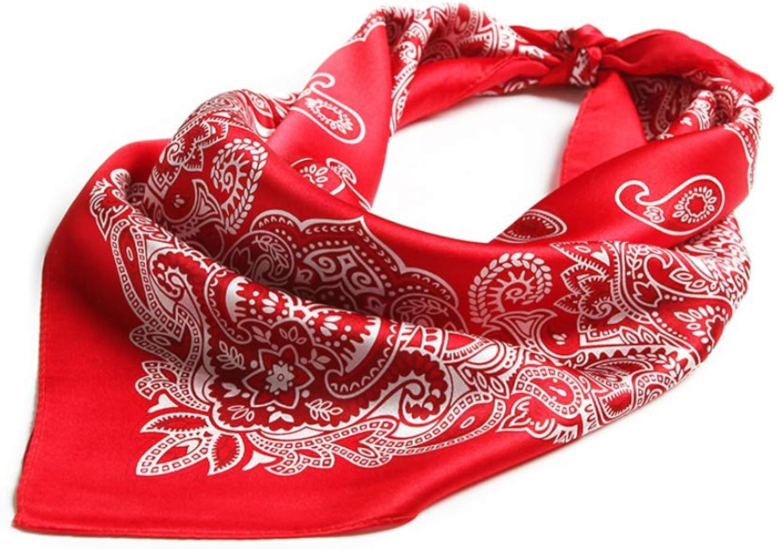 JERLA Women's Men's Small Square satin 100% Real Mulberry Silk Scarfs paisley Hair head face scar... | Amazon (US)