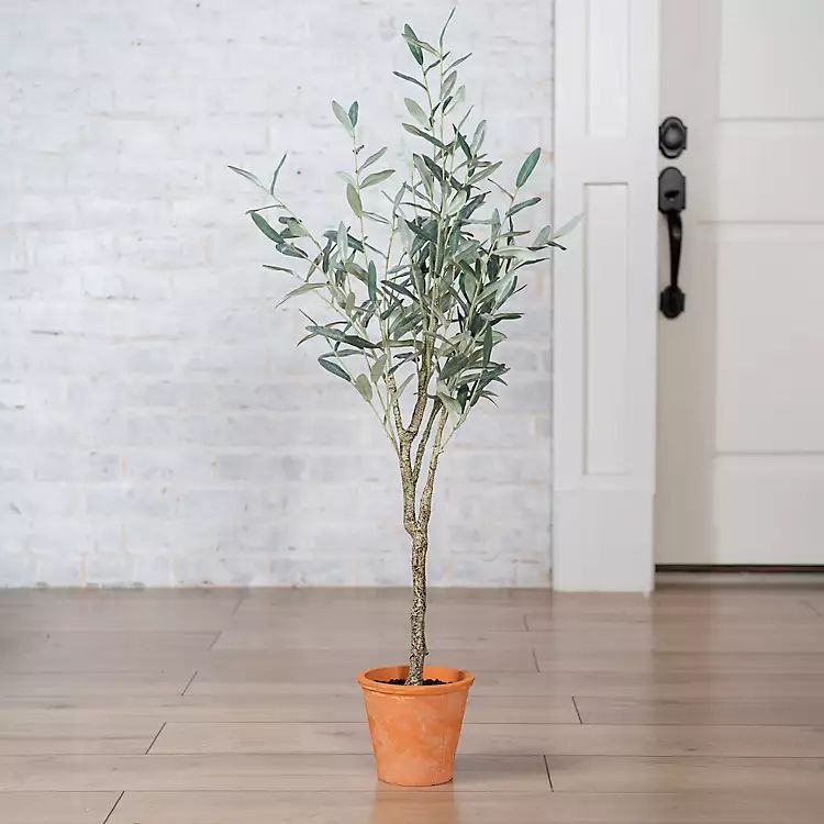 Olive Tree in Terracotta Planter | Kirkland's Home