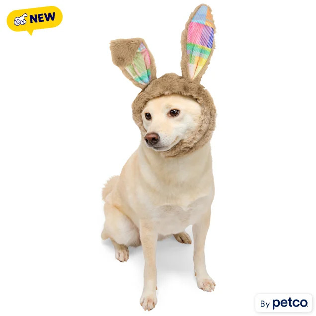 YOULY Easter Bunny Ears Pet Hat, Large/X-Large | Petco