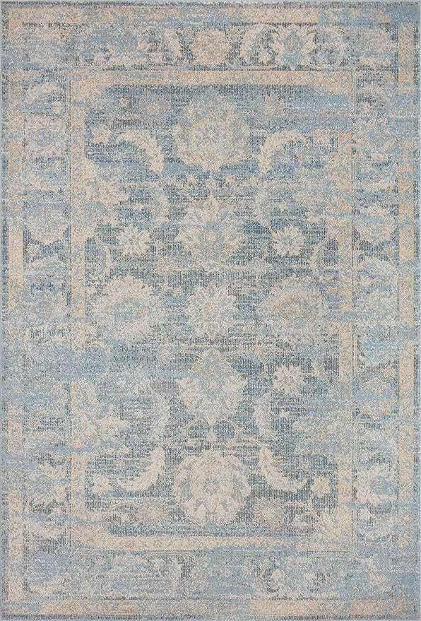 Loloi II Odette Collection ODT-03 Sky/Beige 7'-10" x 10' Area Rug | Amazon (US)