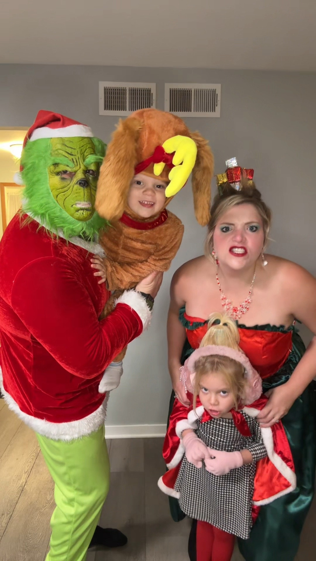 Martha May, Cindy Lou, The Grinch, and Max steal Christmas!
Women’s Dress - XL - Amazon