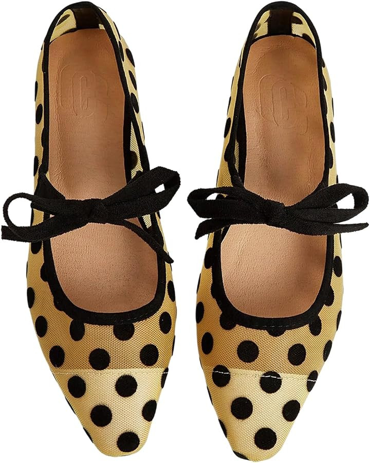 BEAUDRM Women's Polka Dots Mesh Ballet Flats Bowknot Pointed Toe Ballerina Flats Closed Toe Comfo... | Amazon (US)