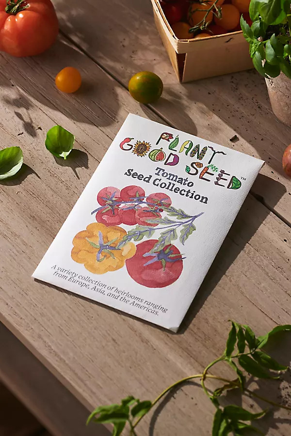 Plant Good Seed Company Tomato Seed Collection | Terrain