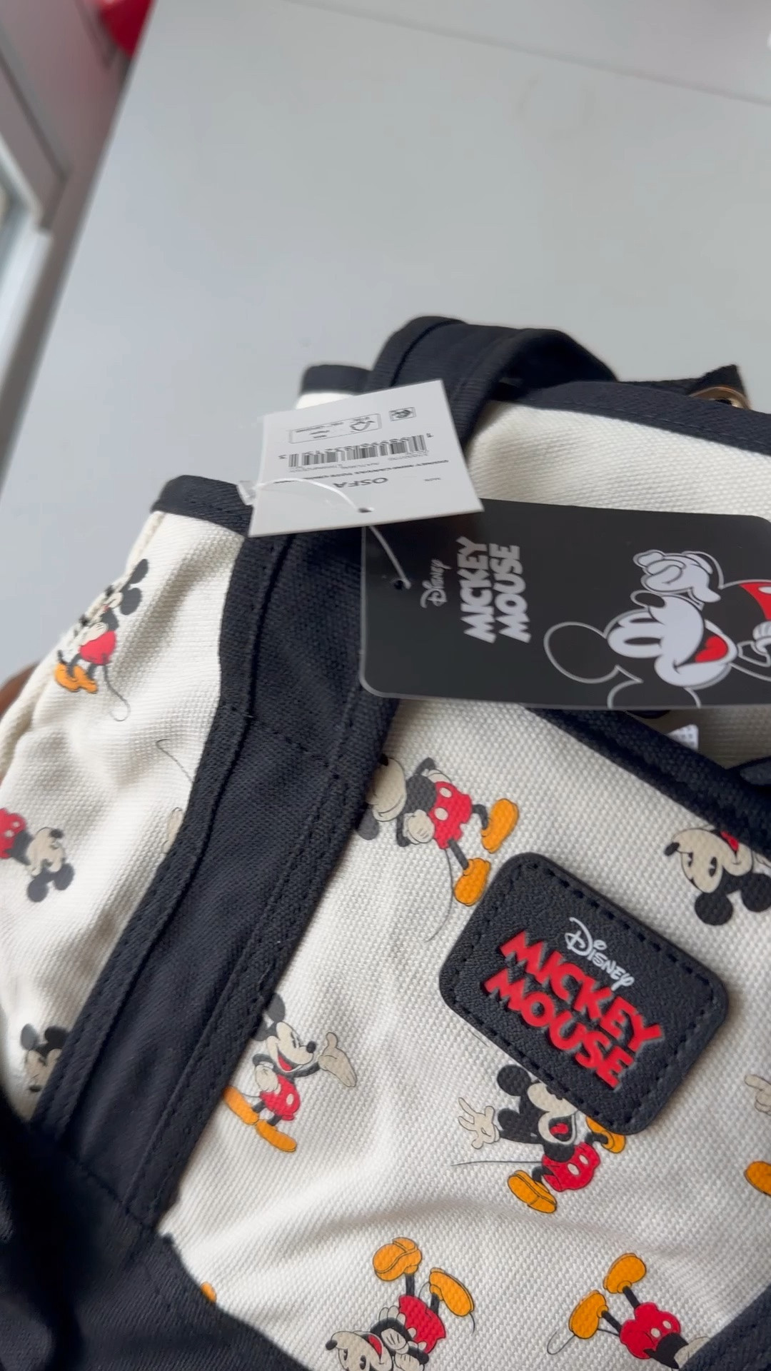 Grab these cute canvas Disney totes fast while they’re on sale