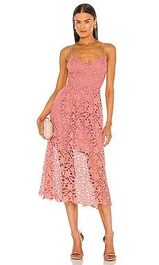 ASTR the Label Lace A-Line Midi Dress in Pink Mauve from Revolve.com | Revolve Clothing (Global)