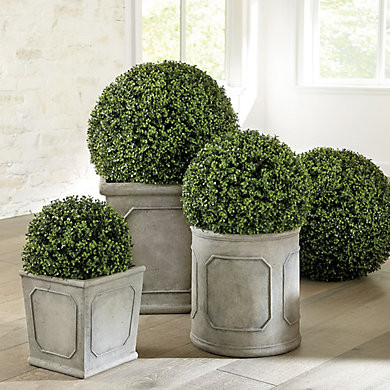Faux Boxwood Planter Filler with UV Protection for Indoor & Outdoor Use | Ballard Designs, Inc.