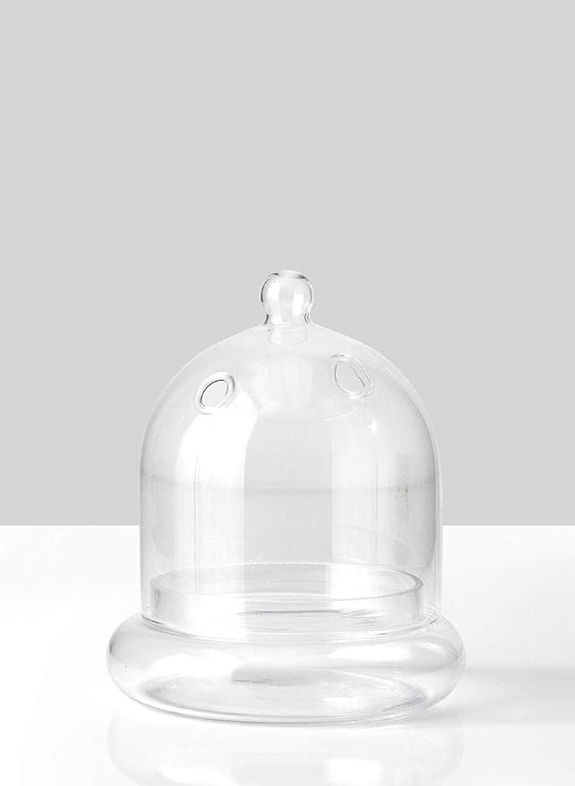 Serene Spaces Living Glass Cloche, Ideal as a Terrarium, Measures 6" Tall and 5" Diameter | Amazon (US)