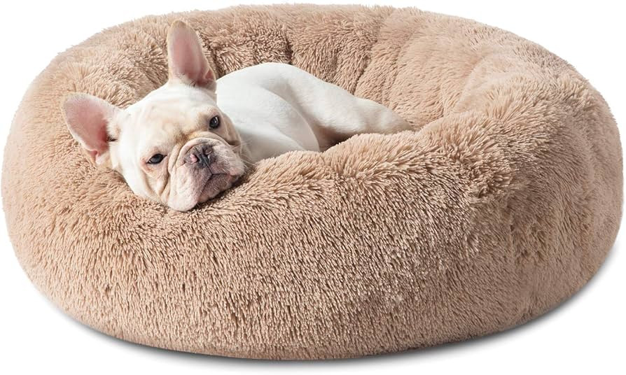 Bedsure Calming Dog Bed for Small Dogs - Donut Washable Small Pet Bed, 23 inches Anti Anxiety Rou... | Amazon (US)