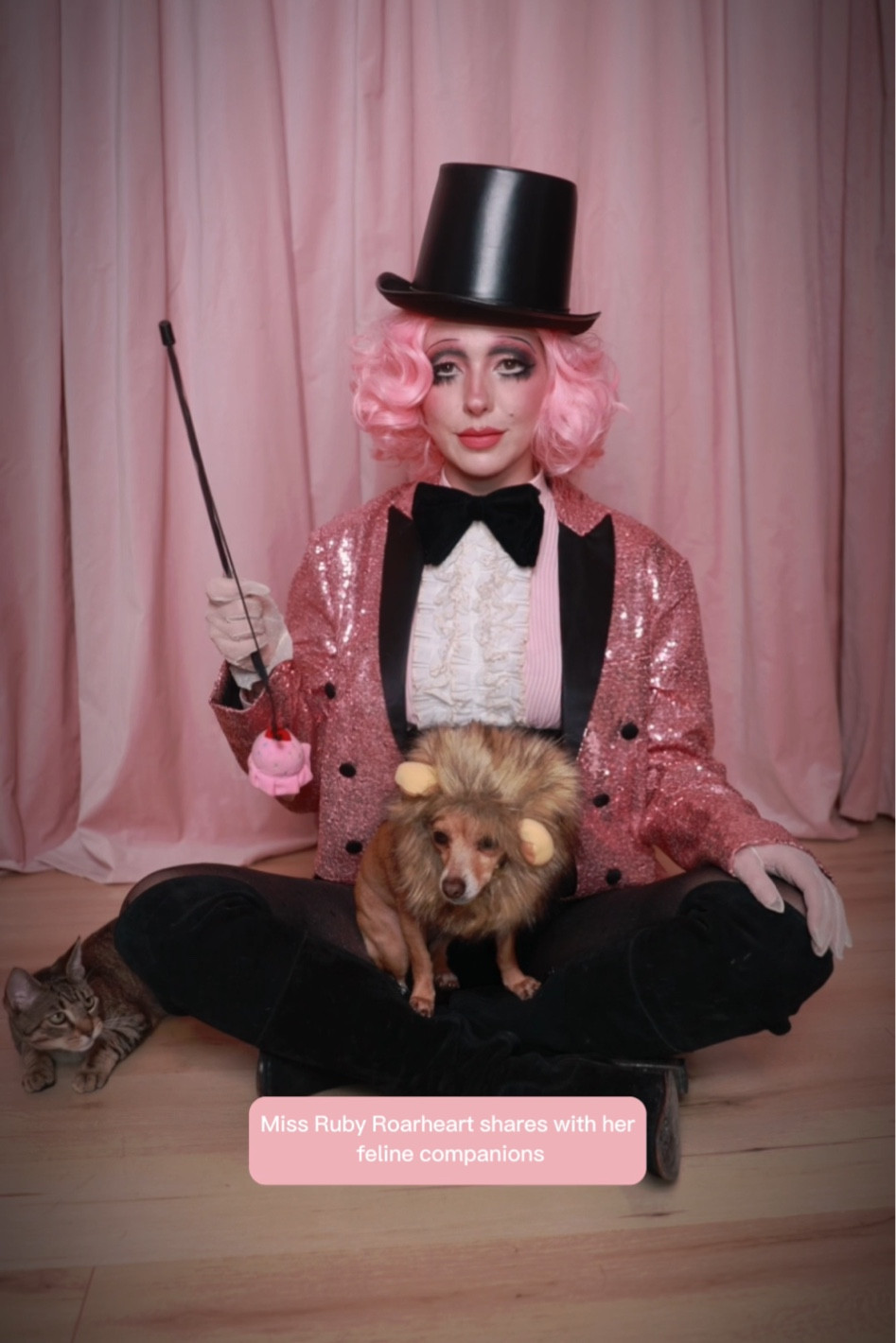 Lion tamer Halloween costume for you and your dog or cat! 

#LTKHalloween