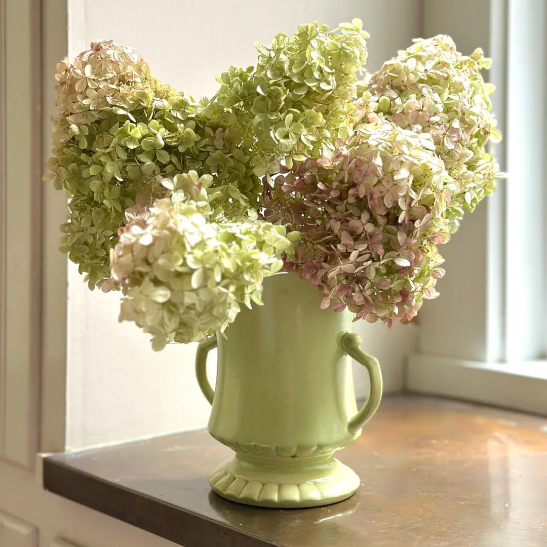 Dried Hydrangeas : Large Bunch Stems , Green With Beige and Pink. Decor, Fall Farmhouse, Ships Ca... | Etsy (US)