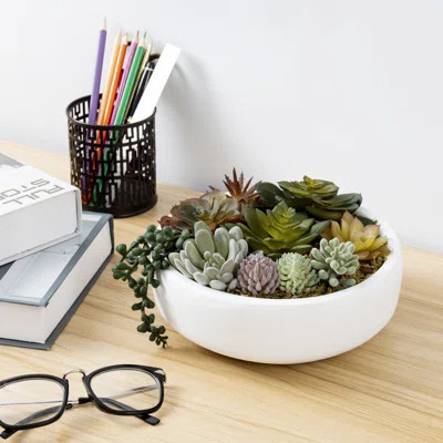 4.3'' Faux Succulent in Ceramic Pot | Wayfair North America