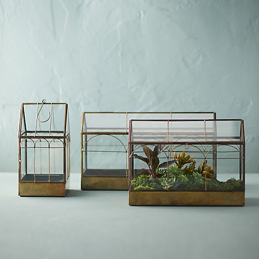 Brass Greenhouse | Terrain