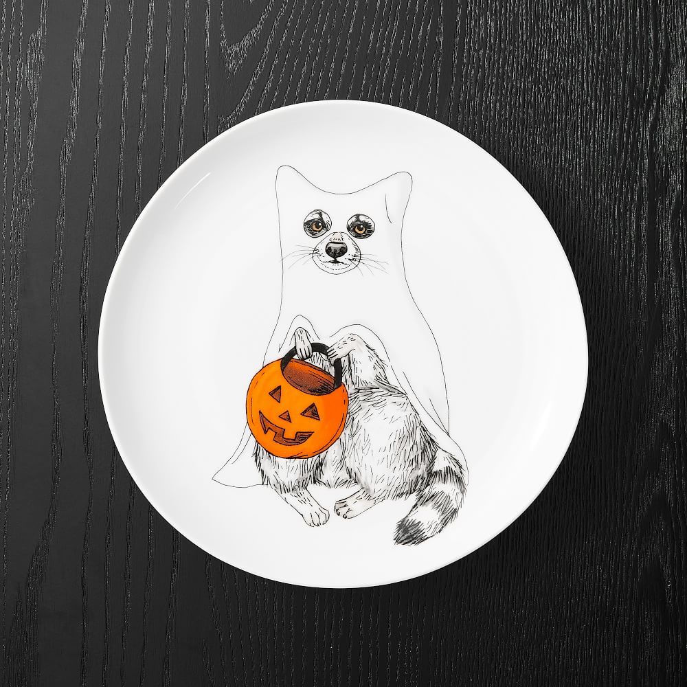 Dapper Animal Halloween Salad Plates | West Elm (US)