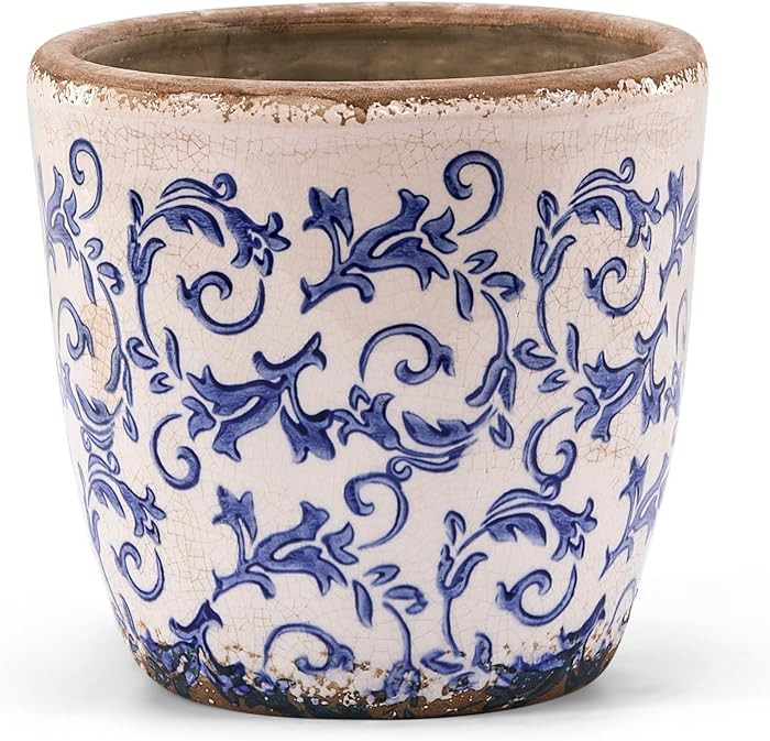 Vintage Ceramic Planter with Drainage Hole, Plastic Tray & Mesh, 6.5 Inch - Indoor/Outdoor Flower... | Amazon (US)