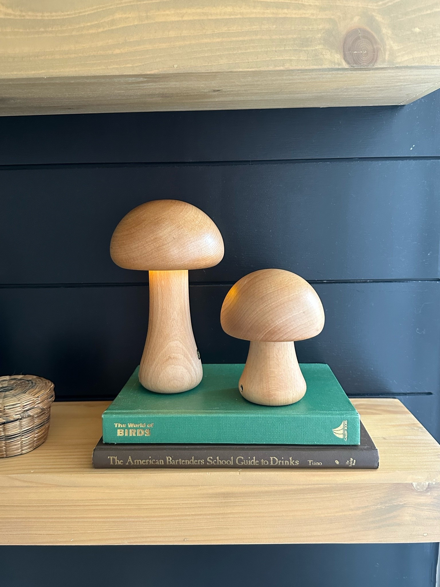 Battery powered mushroom lamps! 

#LTKHome #LTKFindsUnder50