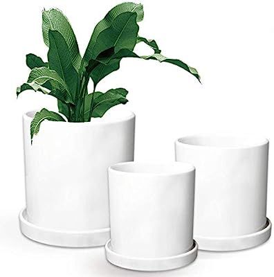 Flower Pots,Small to Large Sized Round Planter Pots,Ceramic Plants Containers,Succulent Pots with... | Amazon (US)