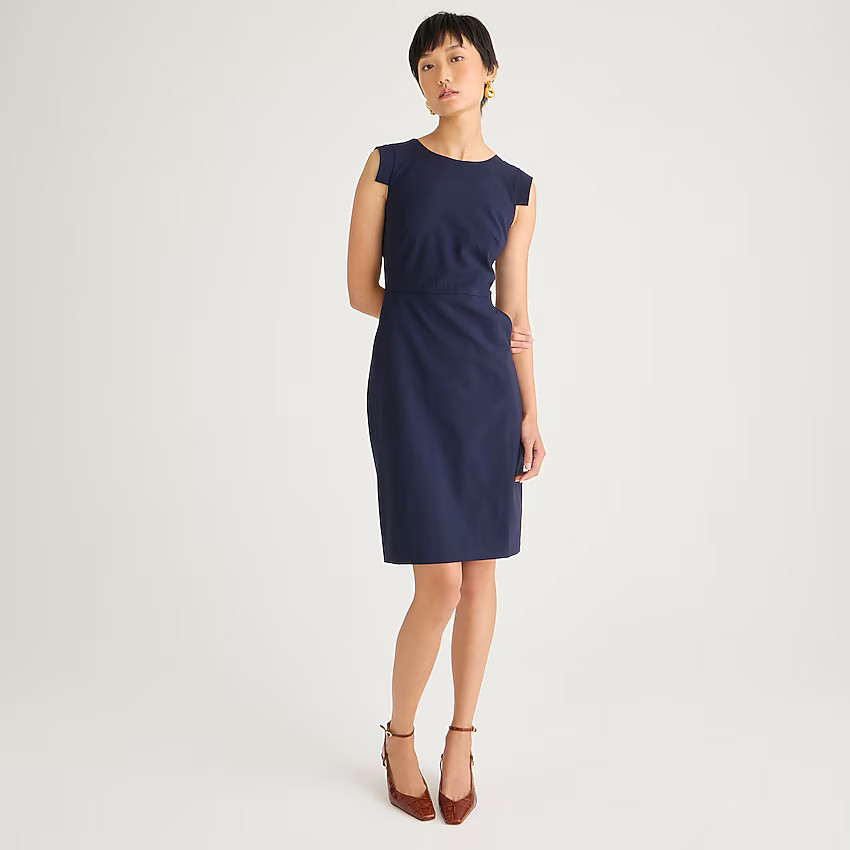 Resume dress | J. Crew US